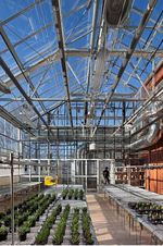 Queens University of Charlotte Rogers Hall View: Greenhouse